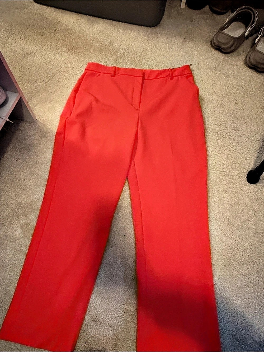 Express pants